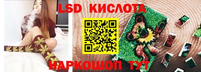 PSILOCYBIN Гудермес