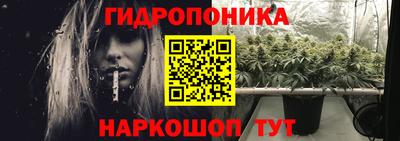 PSILOCYBIN Гудермес