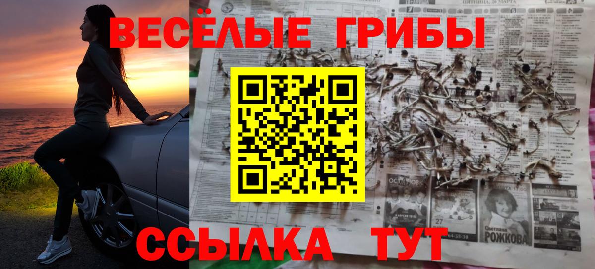 Выборг  Псилоцибиновые грибы Magic Shrooms  Псилоцибиновые грибы Psilocybe  Вход с VPN 