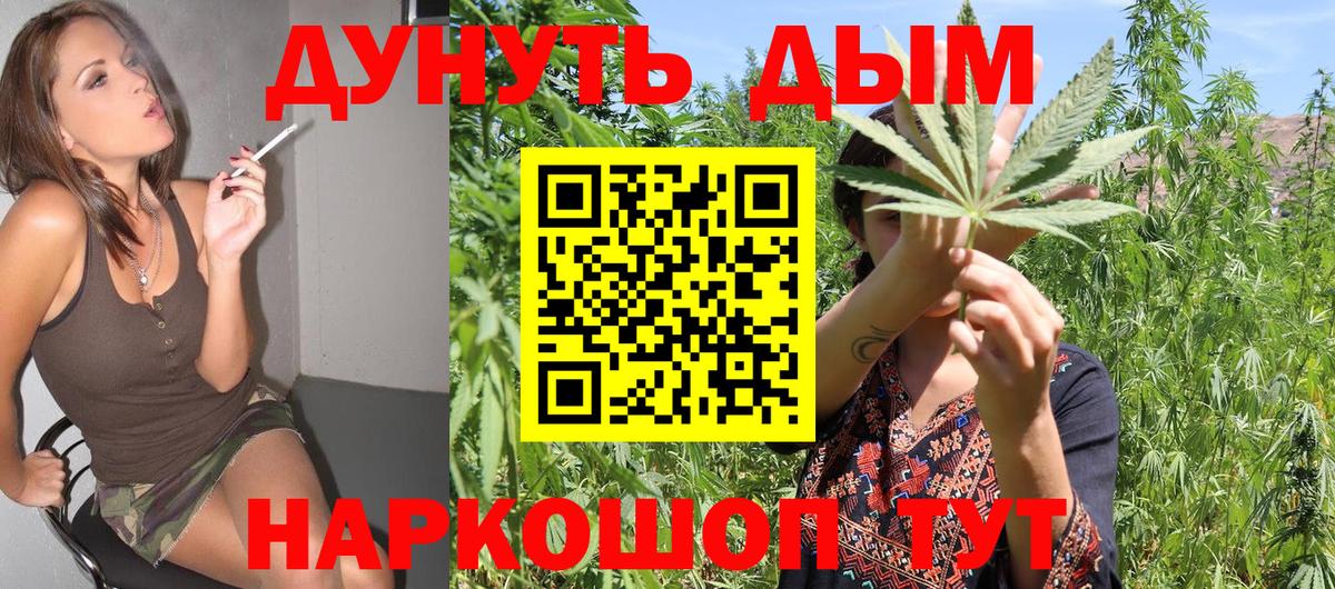 Канабис OG Kush Выборг