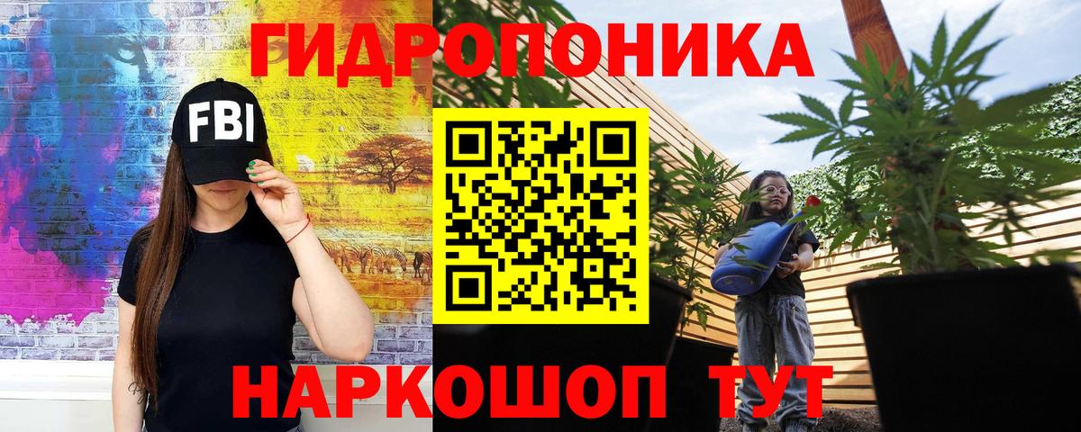 Выборг  Бошки марихуана Bruce Banner  Конопля сатива  Канабис Ganja  Вход с VPN 